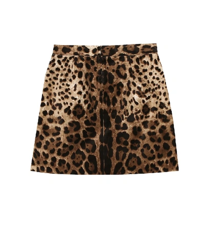 Shop Dolce & Gabbana Velvet Miniskirt In Brown