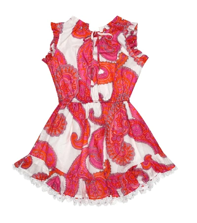 Shop Zimmermann Peggy Paisely-print Cotton Dress In Pink