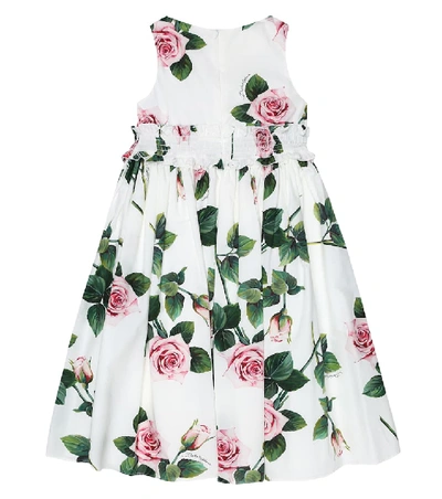 Shop Dolce & Gabbana Floral Cotton Dress In White
