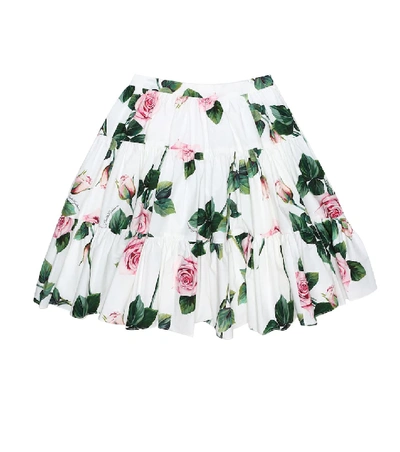 Shop Dolce & Gabbana Floral Cotton Skirt In White