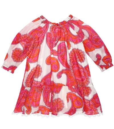 Shop Zimmermann Zinnia Printed Cotton Dress In Pink