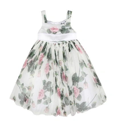 Shop Dolce & Gabbana Floral Tulle Dress In White