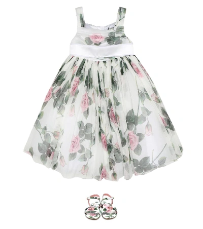 Shop Dolce & Gabbana Floral Tulle Dress In White