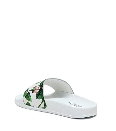 Shop Dolce & Gabbana Floral Leather Slides In White