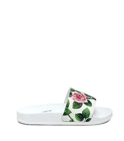 Shop Dolce & Gabbana Floral Leather Slides In White