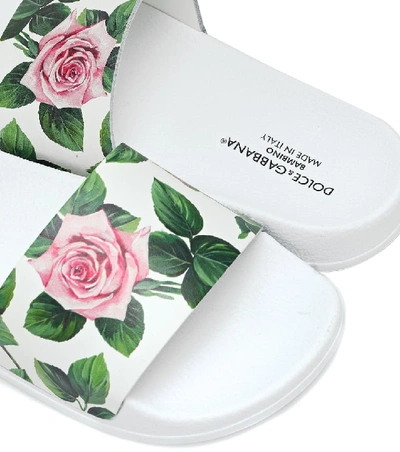 Shop Dolce & Gabbana Floral Leather Slides In White