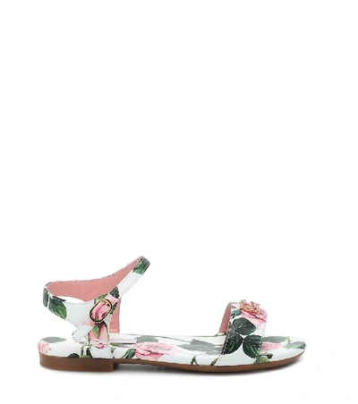 Shop Dolce & Gabbana Floral Leather Sandals In Pink
