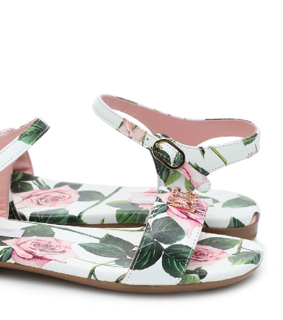 Shop Dolce & Gabbana Floral Leather Sandals In Pink