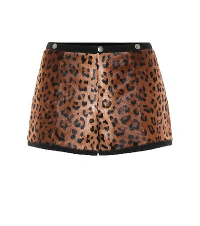 Shop Saint Laurent Leopard-print Calf-hair Shorts In Brown