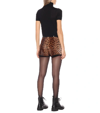 Shop Saint Laurent Leopard-print Calf-hair Shorts In Brown