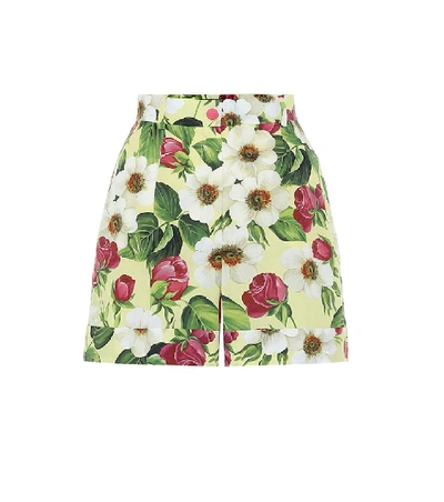 Shop Dolce & Gabbana Floral Cotton Shorts In Green