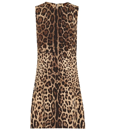 Shop Dolce & Gabbana Leopard-print Minidress In Brown