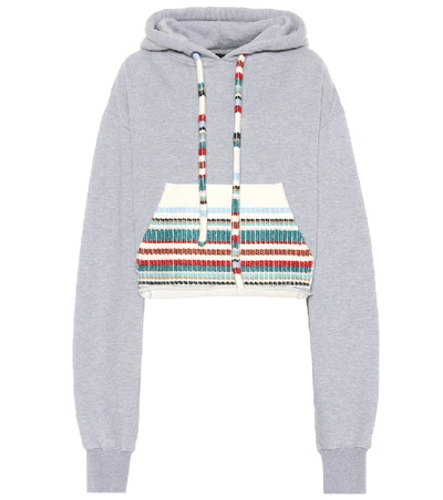 Shop Alanui Cotton And Cashmere Hoodie In Grey