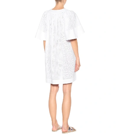 Shop Three Graces London Prudence Cotton Lace Dress In White