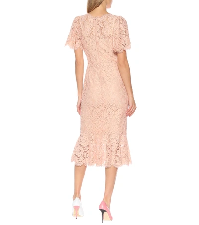 Shop Dolce & Gabbana Lace Midi Dress In Pink