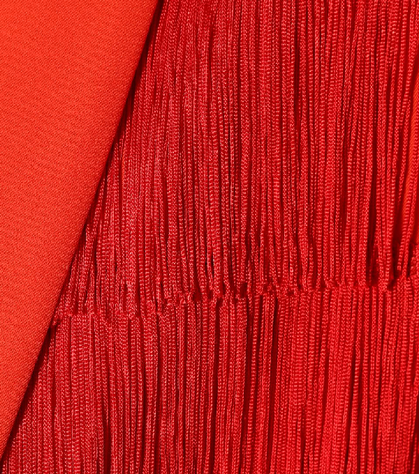 Stella Mccartney Fringe-trimmed Tia Jacket In Red | ModeSens
