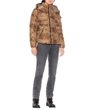 Shop Moncler Bady Leopard-print Down Jacket In Brown