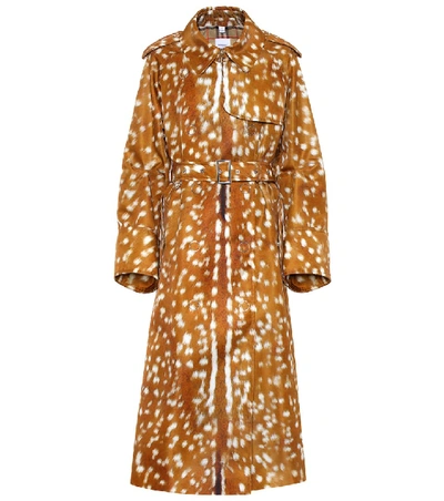 Shop Burberry Printed Trench Coat In Brown