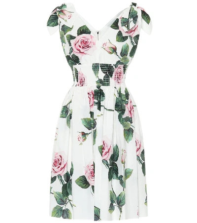 Shop Dolce & Gabbana Floral Cotton Dress In White