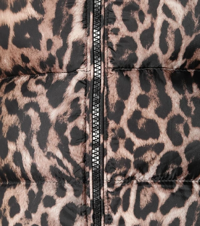 Shop Polo Ralph Lauren Leopard-print Down Jacket In Brown