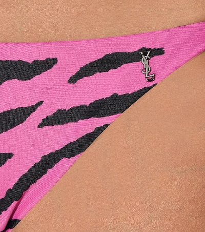 Shop Saint Laurent Zebra-print Bikini Bottoms In Pink