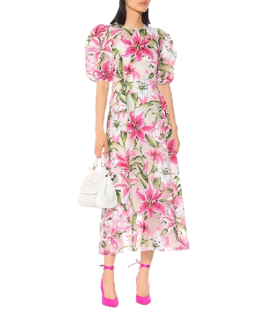 Shop Dolce & Gabbana Floral Silk And Organza Midi Dress In Pink