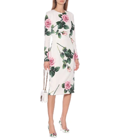 Shop Dolce & Gabbana Floral Cady Midi Dress In Multicoloured