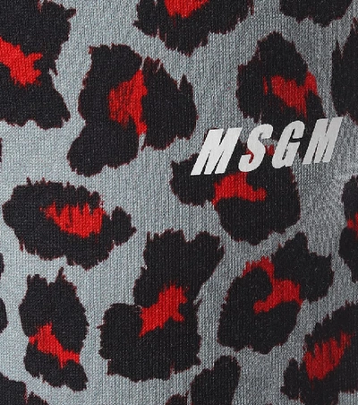 Shop Msgm Leopard-print Cotton Trackpants In Blue