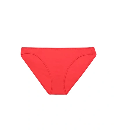 Shop Araks Enil Bikini Bottoms In Red