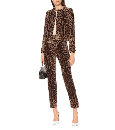 Shop Dolce & Gabbana Leopard-print Wool Jacket In Multicoloured