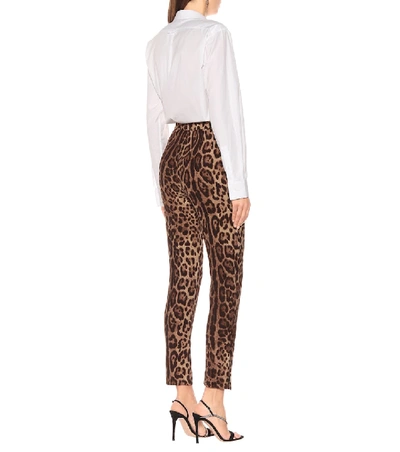Shop Dolce & Gabbana Leopard-print High-rise Wool Pants In Multicoloured