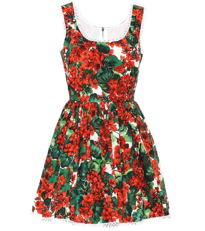 Shop Dolce & Gabbana Floral Cotton Minidress In Red