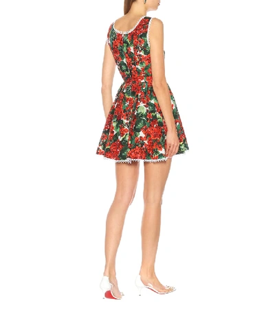 Shop Dolce & Gabbana Floral Cotton Minidress In Red