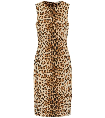 Shop Roberto Cavalli Leopard Midi Dress In Beige