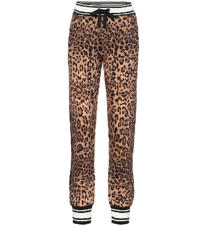 Shop Dolce & Gabbana Leopard-print Cotton Trackpants In Brown