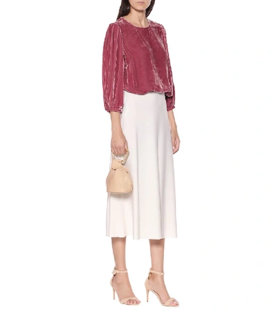 Shop Velvet Brenda  Blouse In Pink