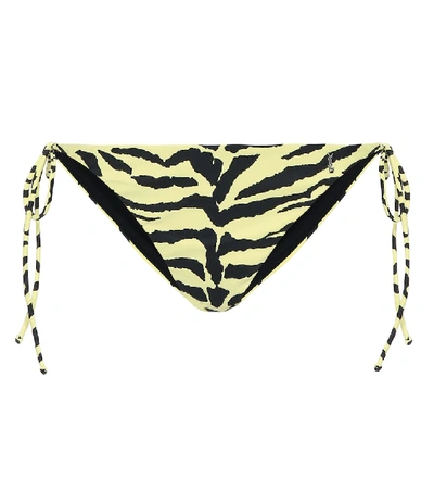 Shop Saint Laurent Zebra-print Bikini Bottoms In Yellow