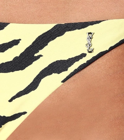 Shop Saint Laurent Zebra-print Bikini Bottoms In Yellow