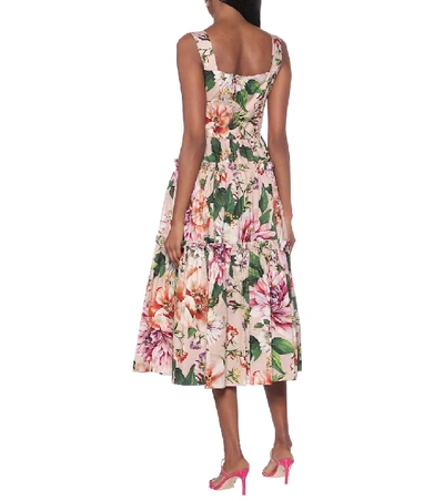 Shop Dolce & Gabbana Floral Cotton Midi Dress In Pink