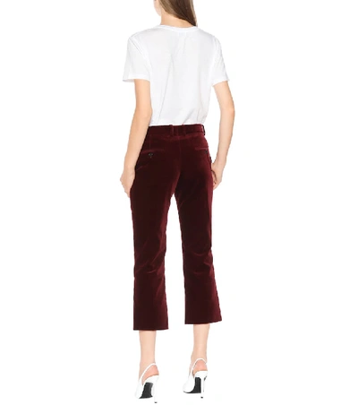 Shop Saint Laurent Cropped Velvet Pants In Red