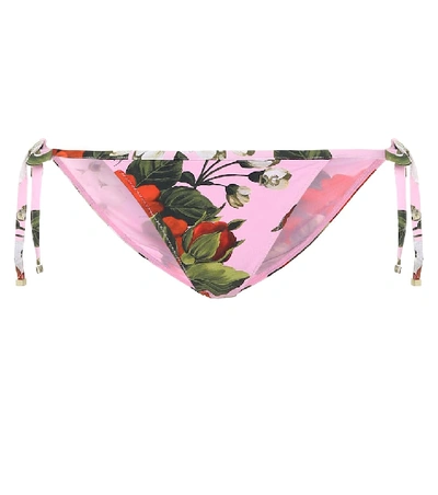 Shop Dolce & Gabbana Floral Bikini Bottoms In Pink