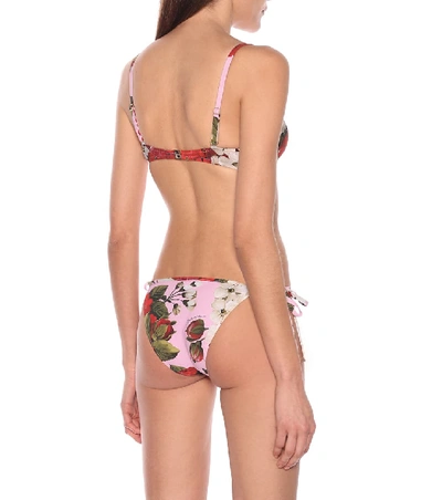 Shop Dolce & Gabbana Floral Bikini Bottoms In Pink