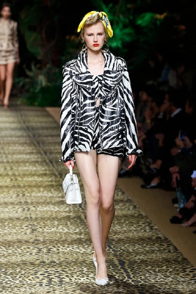 Shop Dolce & Gabbana Zebra-print Stretch-cotton Crop Top In White