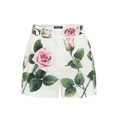 Shop Dolce & Gabbana Floral Cotton Shorts In White