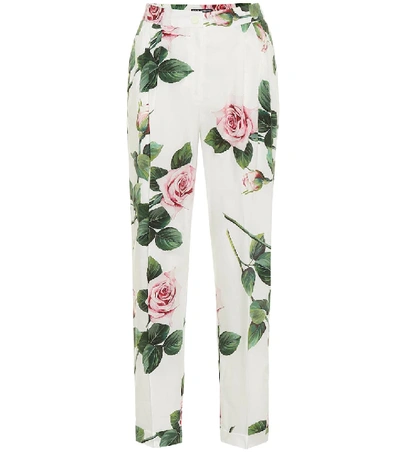Shop Dolce & Gabbana Floral Cotton Cigarette Pants In White