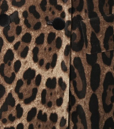 Shop Dolce & Gabbana Leopard-print Velvet Coat In Beige