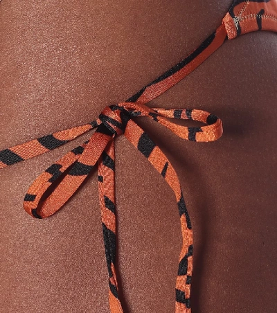 Shop Reina Olga Love Tiger-print Bikini Bottoms In Orange