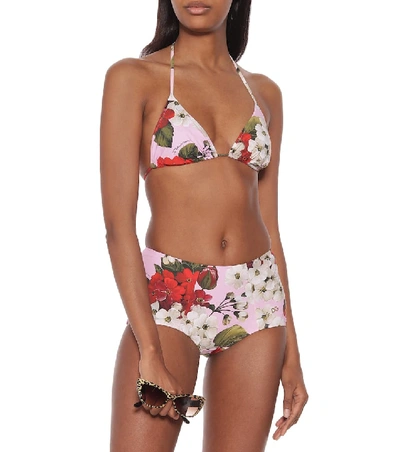 Shop Dolce & Gabbana Floral Triangle Bikini Top In Pink