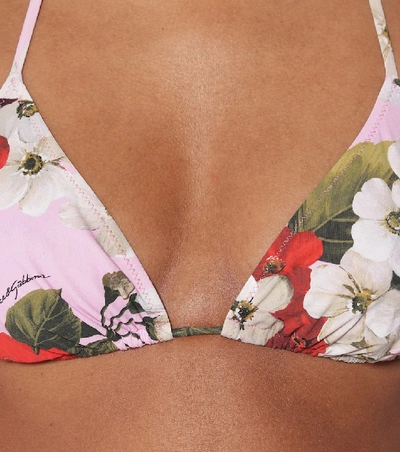 Shop Dolce & Gabbana Floral Triangle Bikini Top In Pink