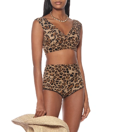 Shop Karla Colletto Bree Leopard Bikini Top In Brown